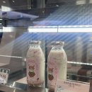 아산원탑디자인 | 천안 아산 카페디아즈 갤러리아 센터시티 카페 케이크가 맛있는곳