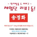 엘피코리아 이미지