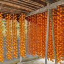 두실농장 이미지