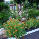 산아래물가에서 이미지