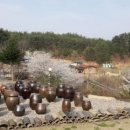 굴구지정원 이미지