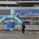 노량진대부도 | 노량진 회 포장 맛집 대부도 솔직 후기