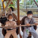 양정 유도관 이미지