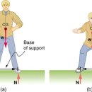 스포츠지도사 2급 - 운동역학 이미지