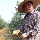 이인석 농장 이미지