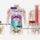 코어는 식스팩이 아닙니다… 몸의 중심을 잡아주는 ‘이너코어’의 정체는? ④ [평생운동연구소] 이미지