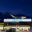 해송초장 | 주문진수산시장 회포장 해송횟집 대방어 소자