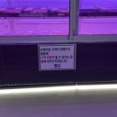 OK푸줏간