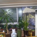 팡팡 노래연습장 이미지