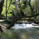 사계절순대국 이미지