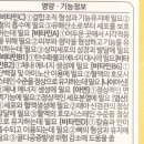 슈퍼베어 이미지