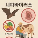 바이러스 이미지
