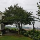 화이트아일랜드(파타야) | 대부도 구봉도 화이트 아일랜드 펜션! 장점과 단점, 솔직 후기!