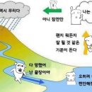 스바라시 - 서구 둔산남로 97 | 스바라시