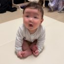 하당세탁소 | 낑삼이로그/260124-260130-5개월 아기. 끝나지않은병원행with할부지. 조카한테 갬동먹고. 음식 먹고...