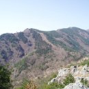 천주산식당 이미지