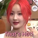 댓츠이지 Daum카페