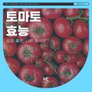토마토성형외과의원 이미지