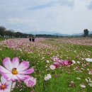 백곡천2 이미지