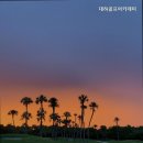 대하골프아카데미 이미지