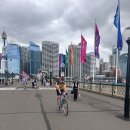 도시의 아침 이미지