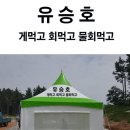 놀스타 이미지