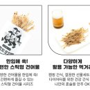 시드다이나믹스 이미지