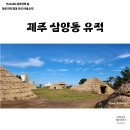제주 삼양동 유적 | 제주도 선사시대 송국리형 주거문화 제주 삼양동 유적/ 삼양해변 해수욕장 (ft. 검은모래찜질 효능)