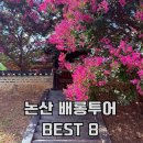 향촌3길4 | 폭염에도 포기할 수 없는 역대급 풍경! 논산 배롱나무 명소 BEST 8 명재고택 포함