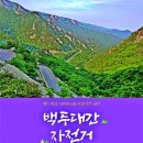 백두그린 이미지