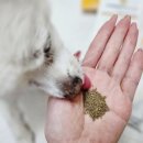 범서약국 이미지