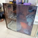 엄궁종합동물병원 이미지