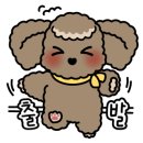 차전펫푸드 이미지