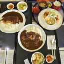 스타골프클럽 | 일본골프여행 오이타현 소재 키지마 코오겐(kijimakogen) 골프클럽 이용후기(25.8.1)