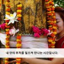 신성운수(주) | [공지] 마하트레일 인도 8대불교성지 명상순례 2025년 11,12월, 2026년 1,2월 일정안내
