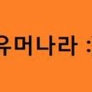 강아지 나라 이미지
