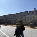 장안46 | 수원 _ 행리단길 장안통닭, 카페 류온, 솔트앤페퍼 볼꾸 후기