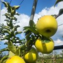 달님농장 이미지