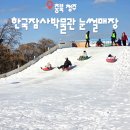 부산여자대학교 한국차박물관 | 청주 눈썰매장 가성비 좋은 한국잠사박물관 아이와 다녀왔어요
