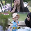 비석농장 이미지