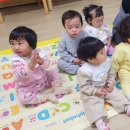 *쥬니멀 동물체험-양치기소년(면양,거북.풀무치) 이미지