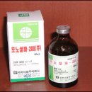베링거인겔하임동물약품(주) Daum카페