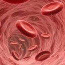 스카이뷰휘트니스 이미지