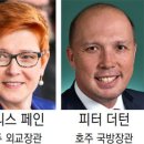 피터페인 이미지