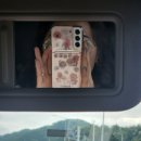 태양스테이(모텔) | [속초 여행] 총정리:장사항 스노쿨링, 등대해수욕장, 속초관광수산시장, 송정희어머니순두부(풍자또간집)