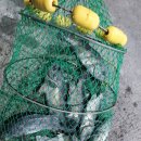 88실내바다낚시터 이미지