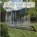 초가정 | 대통령별장 청남대 여행기 | 대통령기념관부터 초가정까지