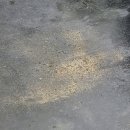 송파 실내 세차 꼼꼼한 내부세차 만족 솔직 후기 [블스원 워시앤케어 송파가락몰점]