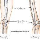 테이핑 및 마사지 이미지