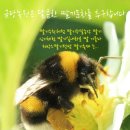 위즈캐슬어린이집 이미지